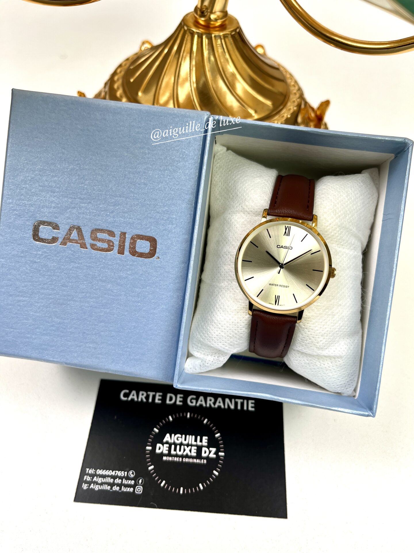 Casio Femme LTP-VT02BL-3A Montre Élégante Cuir Vert Acier Noir Ion-Plated LTP-VT01GL-9B-1 https://aiguilledeluxe.com original Algerie DZ